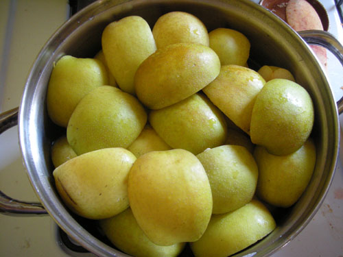 Pot full of fruit for making juice