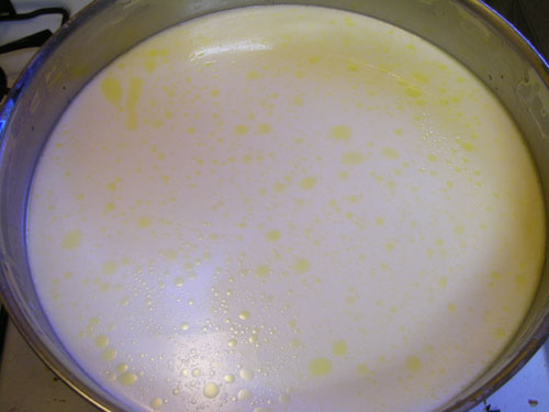 Curded milk with butterfat