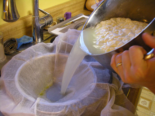 Separating curds from whey