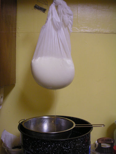 Hanging the curds to drain