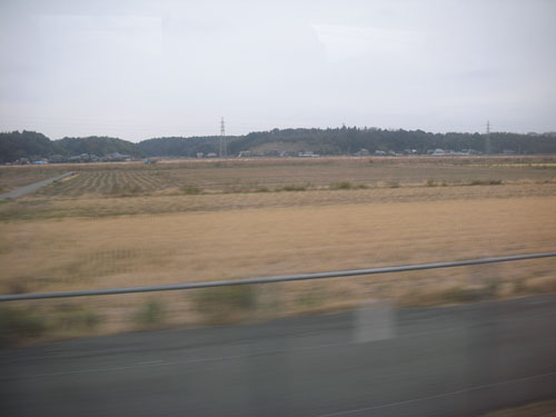 Fields by Narita