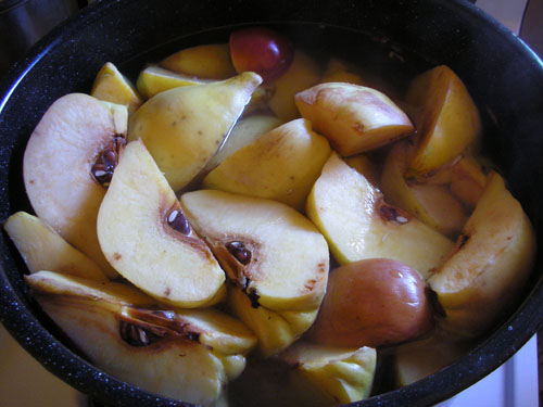 Pot full of quince