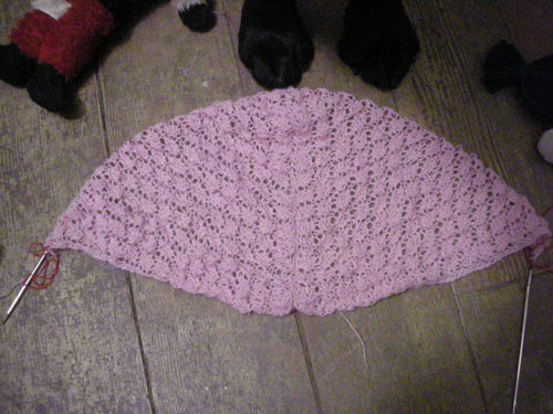The end of the budding lace pattern, with dog