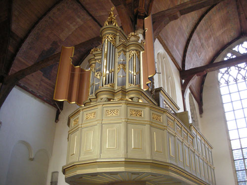 Small organ