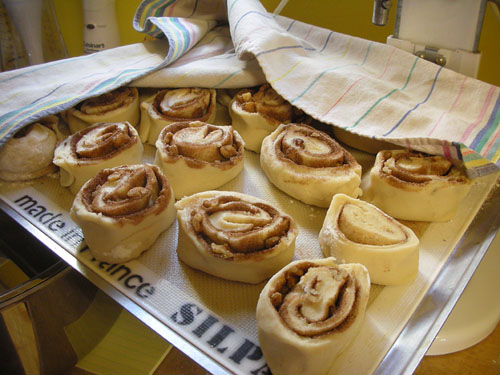 Cinnamon rolls from sourdough starter