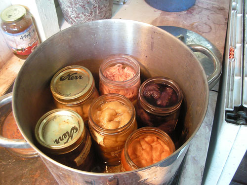 Mason jars in water on the stove