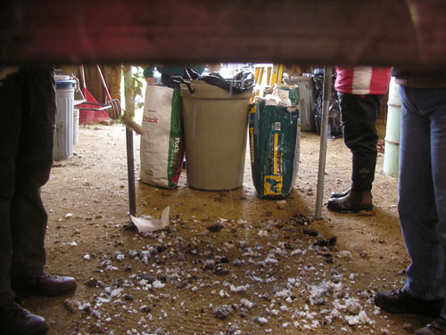 Under the picking table