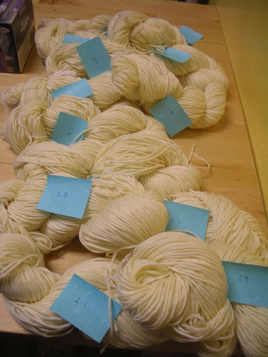 Yarn lined up for dyeing