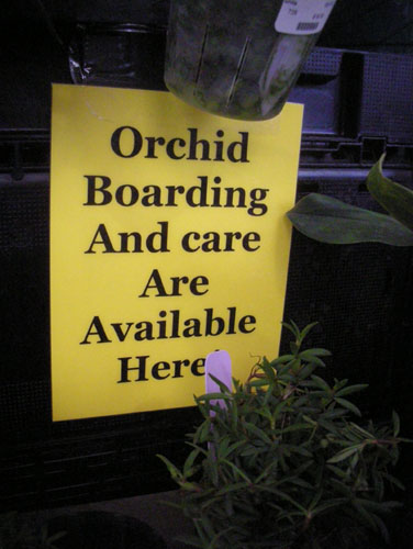 Orchid boarding