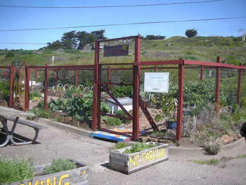 Kitchen garden