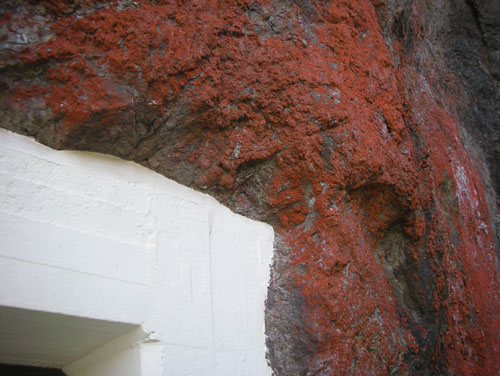 Lichen on the rocks