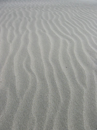 sand ripples