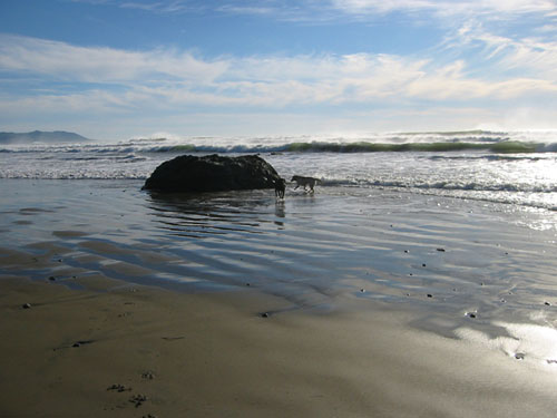 Running in the waves