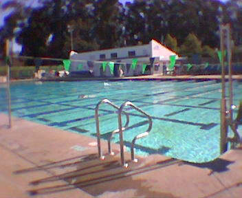 The pool before the race