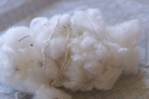 Seed cotton