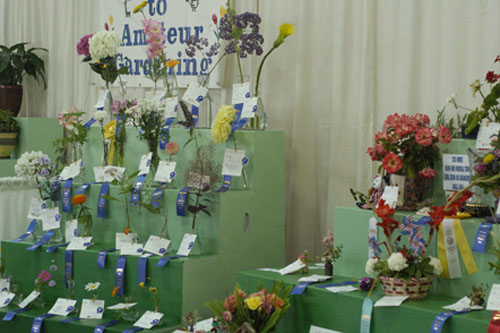 Flower judging