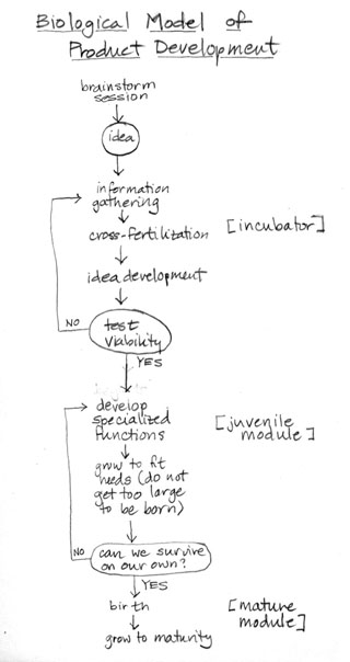 Product Development