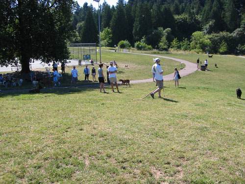 Gabriel Park off-leash dog area, Portland