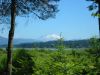 Mt. St. Helens