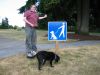 No levitating near dogs